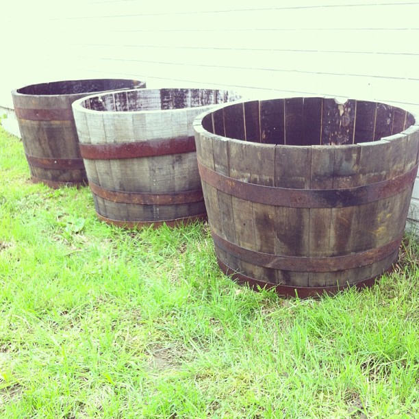 Raised Bed a la Whiskey Barrels